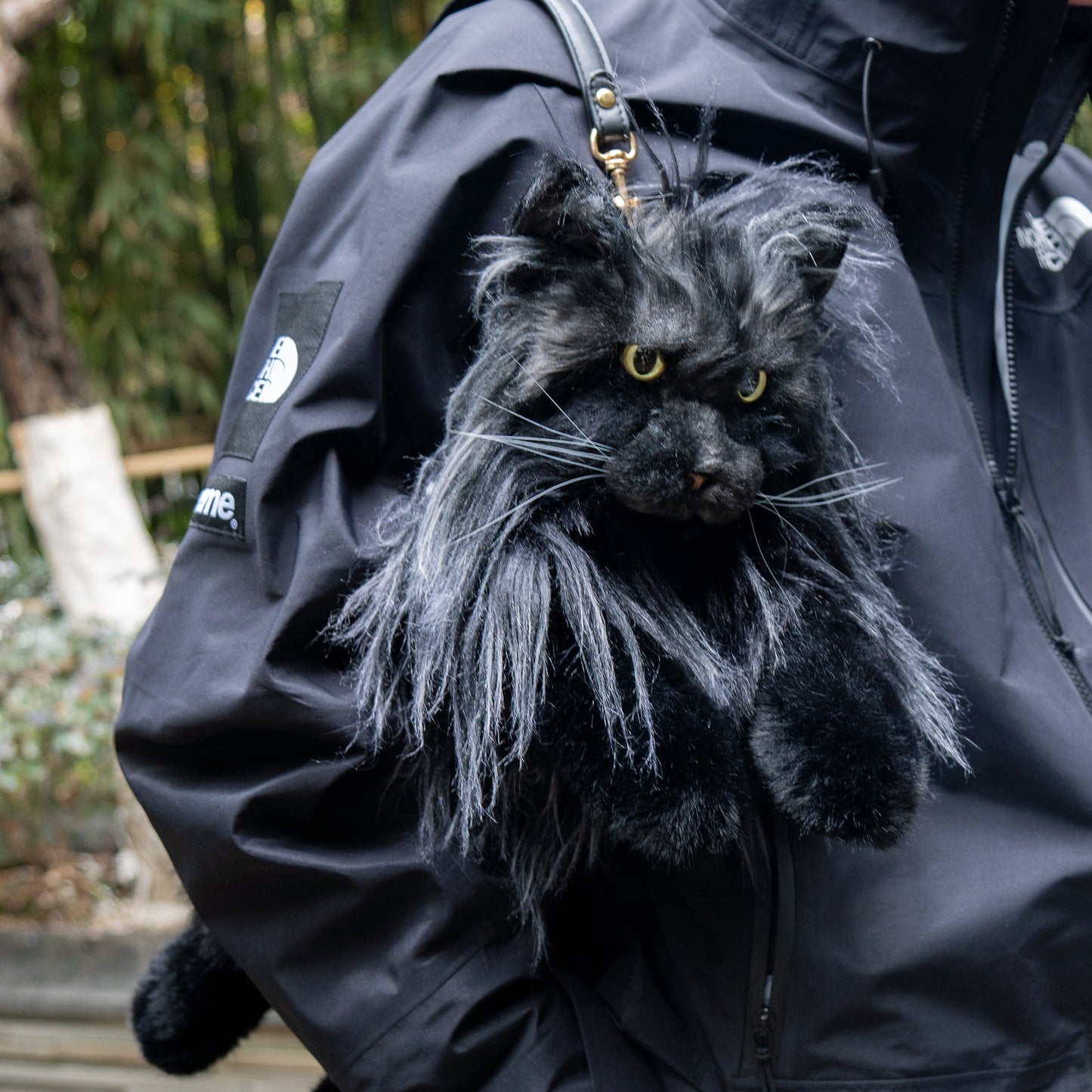 Maine Coon Cat Backpack