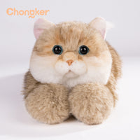 Peluche Chat British Shorthair Doré