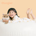 Cargar la imagen en la vista de la galería, Golden British Shorthair Cat Plush
