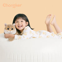 Peluche Chat British Shorthair Doré
