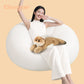 Golden British Shorthair Cat Plush