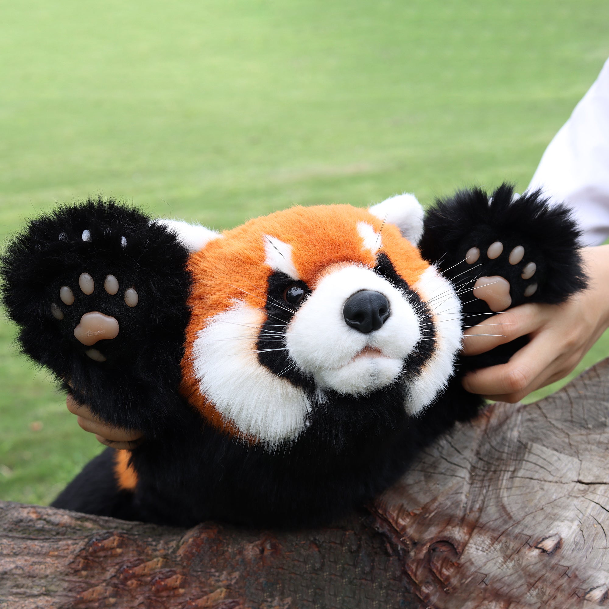 Chongker Red Panda Weighted Stuffed Animal Plush 2.5lb - Chongker