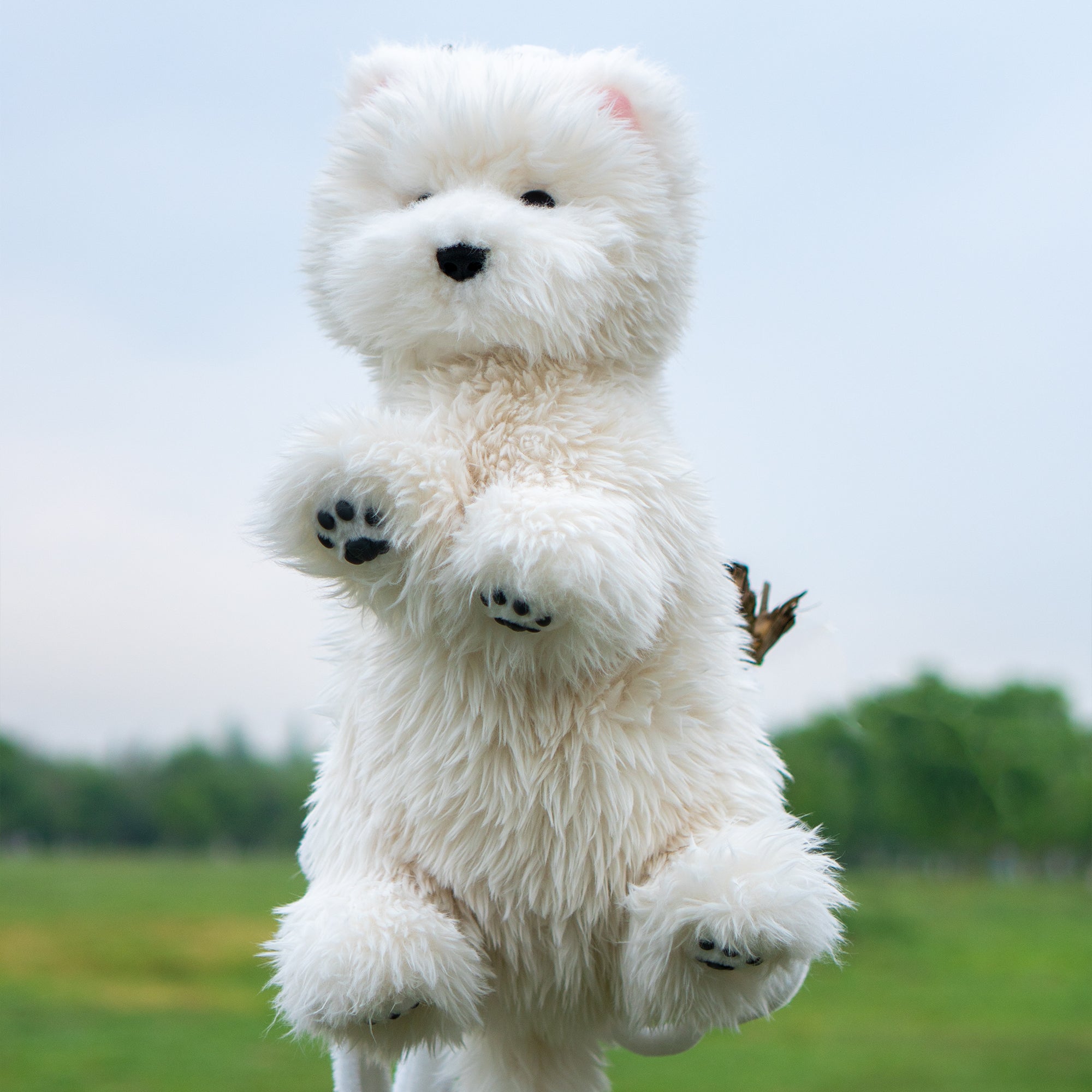 Westie White Dog Backapck - Chongker