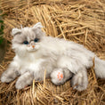 Load image into Gallery viewer, Tracy Weighted 3lbs –Relaxing Cat Toy Comfort Calming Plush

