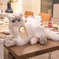 Load image into Gallery viewer, Tracy Weighted 3lbs –Relaxing Cat Toy Comfort Calming Plush

