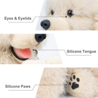 Golden Retriever Plush – Weighted Emotional Support Toy Gift