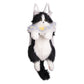 Creative Cat Backpacks-Wearable Fashion Companion Cats