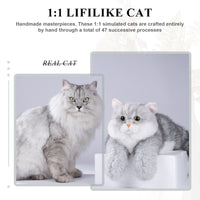  Peluche de gato británico plateado de pelo corto