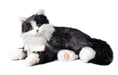 Load image into Gallery viewer, 1.jpg__PID:5df67d25-59d4-4f48-970d-4b3826d5bf9b

