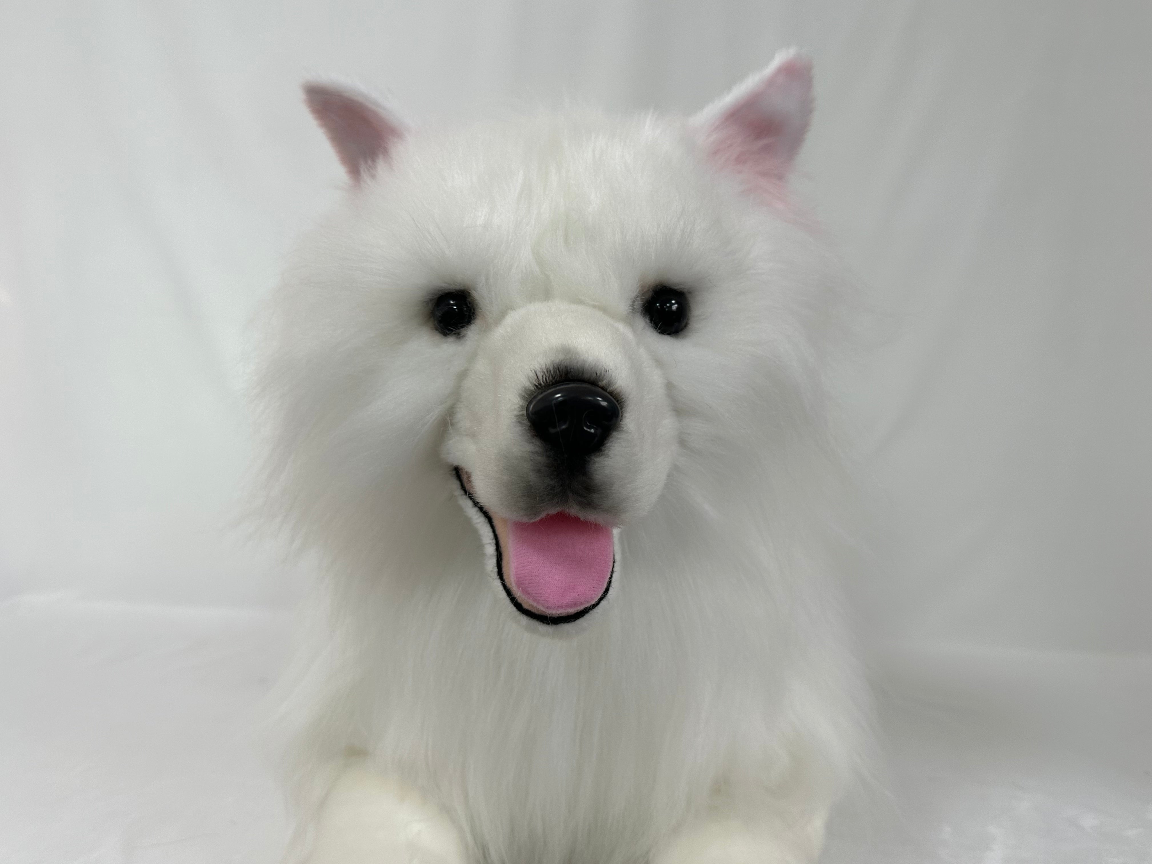 NO.55 pure white dog  21.6inches