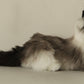 Siamese Cat Longhair MADE-TO-ORDER