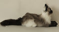Załaduj obraz do przeglądarki galerii, Siamese Cat Longhair MADE-TO-ORDER
