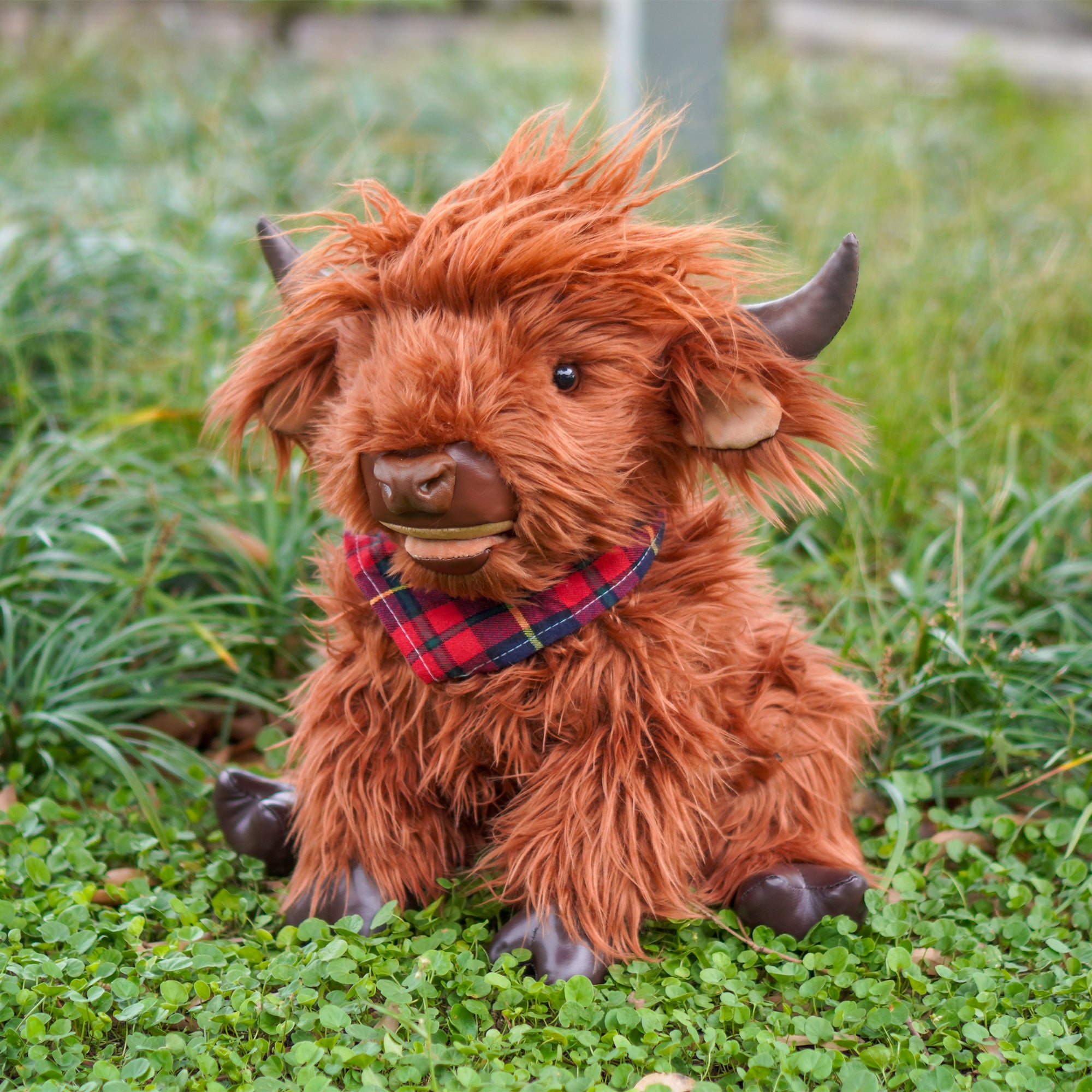 Highland Cow Big  45CM/17.71 IN