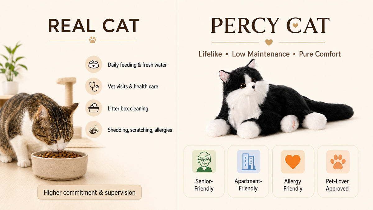 Featured product image