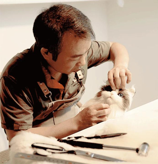 Mr. Yang
