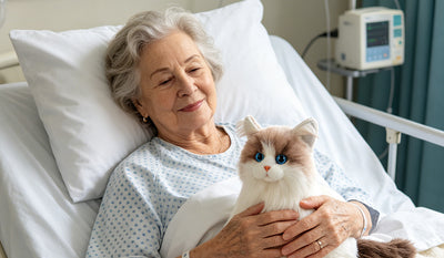 27.jpg__PID:b7e395f1-ad3b-4bfa-8c42-bbe3b902f5b0