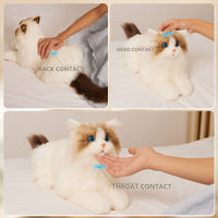 MateCat10 Interactive Cat - Chongker