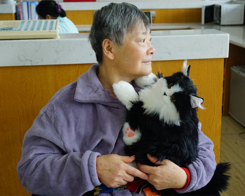 Nursing Home Elderly Care