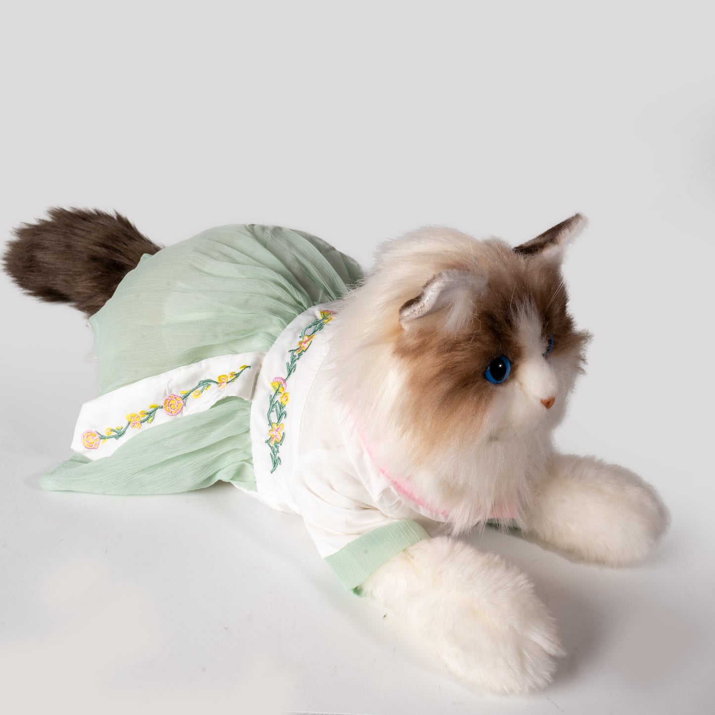 Green clothes for cat - Chongker