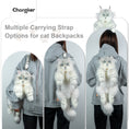 Load image into Gallery viewer, Silver Maine Coon Backpack-Majestic and Purrfect Companion
