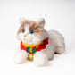 Christmas Collar fits all - Chongker