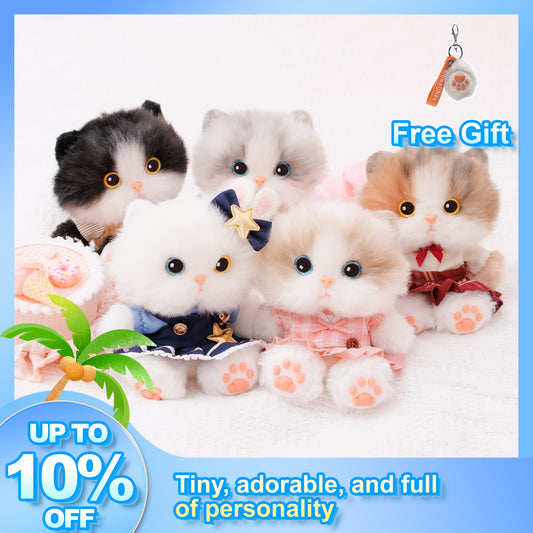 Kitty Charms 2025