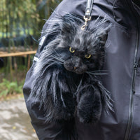 Sac à dos Maine Coon – Sac à dos réaliste pour chats, style en journée