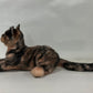 Tortoiseshell Cat Shorthair Order to Make