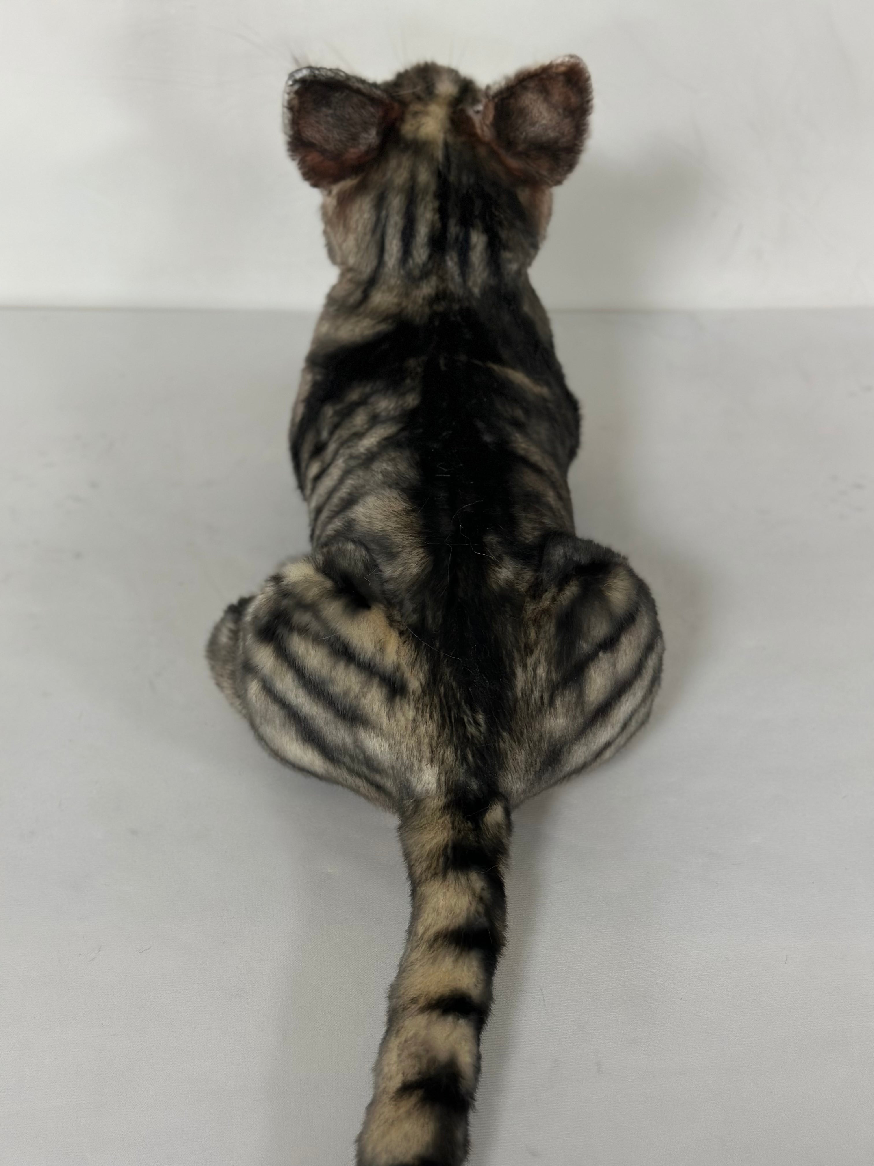NO.52 black striped cat