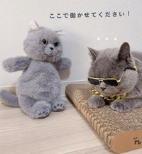 Russian Blue Cat Backpack - Chongker