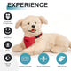 Percy Essential Robotic Dog-Border Collie Robotic Companion Dog