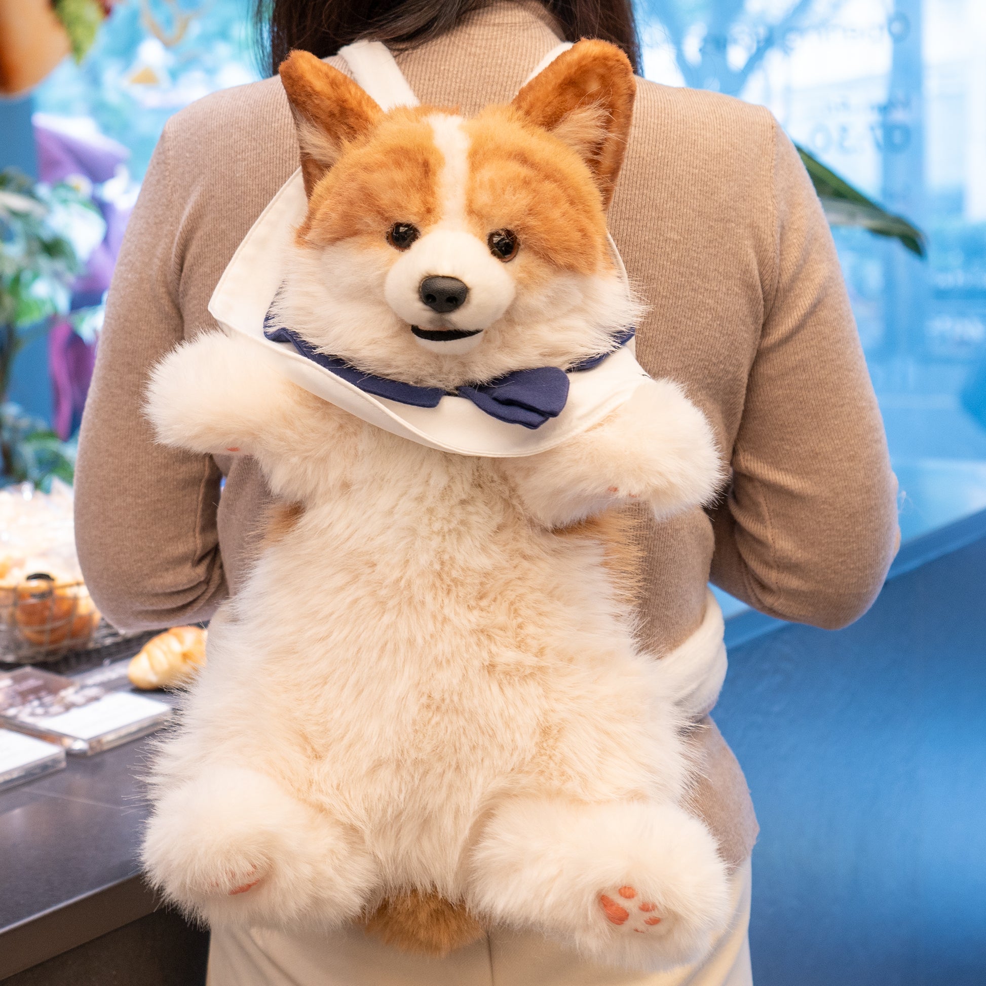 boxlunch corgi mini backpack Corgi Backpack – Cute Dog Plush Bag for Kids & Pet Fans