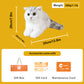 British Shorthair Cat – Realistic Plush for Women