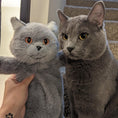 Load image into Gallery viewer, Russian Blue Cat Backpack – Cat Lover’s Daily Bag
