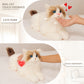 MateCat10 Interactive Cat - Chongker