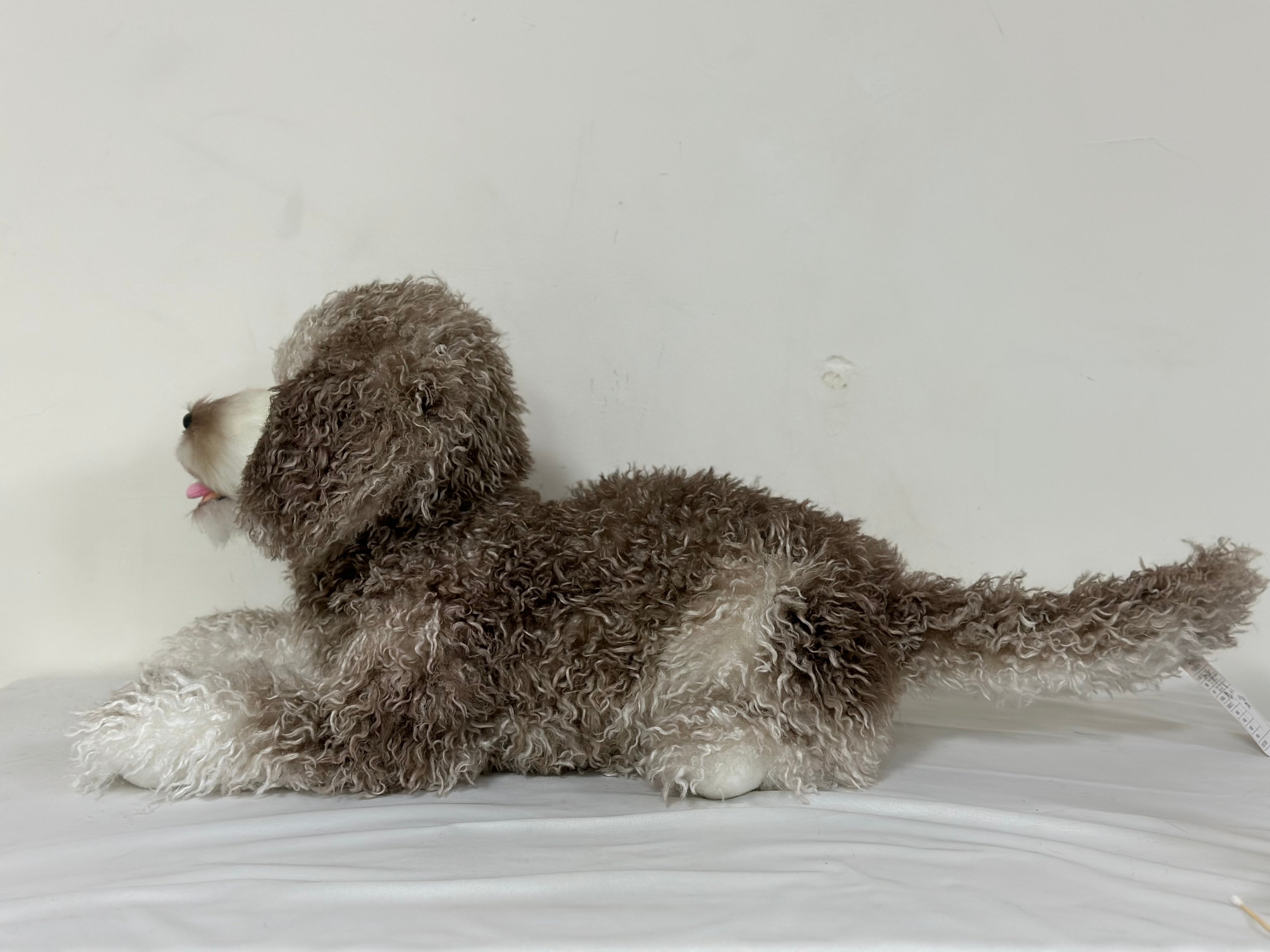 NO.48 goldendoodle  21.6 inches