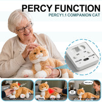 Percy Robot Ginger Cat 1.1 – Voice,Purring & Heartbeat for Comfort