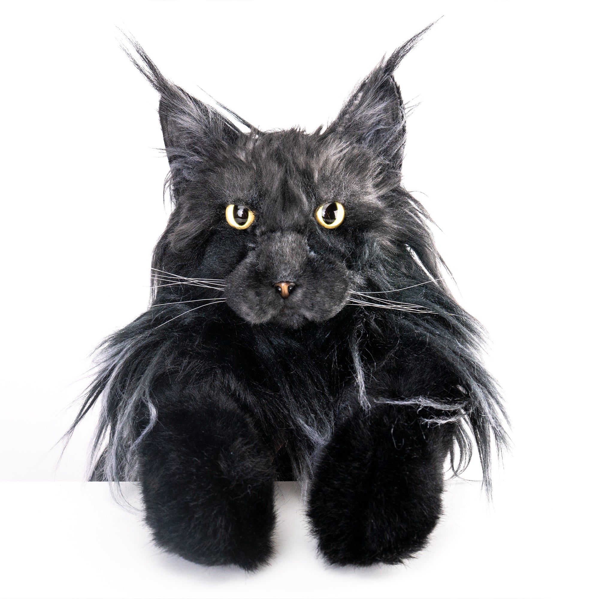 Maine Coon Cat Backpack