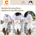 Load image into Gallery viewer, Ragdoll Cat Backpack – Cozy Companion for Travel & School
