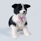 Pink Bowtie Collar fits all - Chongker