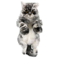 Load image into Gallery viewer, Custom Backpack (Long Hair Cat Only)
