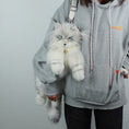 Load image into Gallery viewer, Silver Maine Coon Backpack-Majestic and Purrfect Companion

