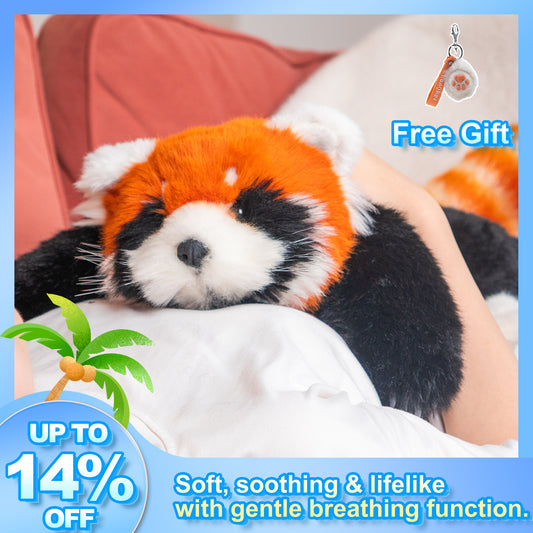 Breathing Red Panda