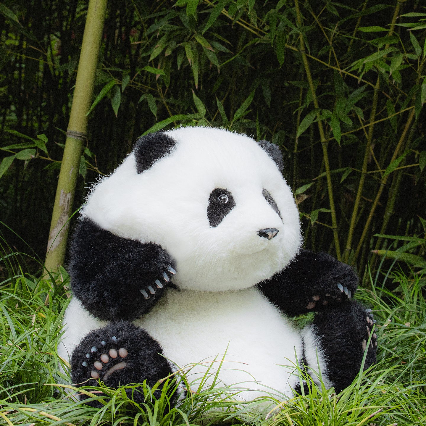 Chongker Handmade Stuffed Giant Panda Sitting (Hehua 5months old) - Chongker