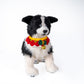 Christmas Collar fits all - Chongker
