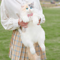 Load image into Gallery viewer, Fairy Light Calico Cat Backpack - Chongker
