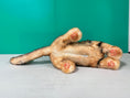 Load image into Gallery viewer, Leopard Cat Order to Make
