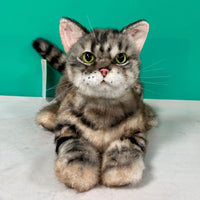 Plüsch American Shorthair Gewichtet-Handgefertigt Lebensgroßer Begleiter & Haustier-Gedenkfigur