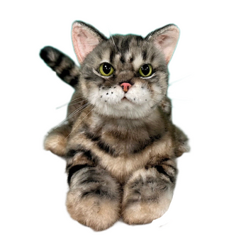 compare product Plüsch American Shorthair Gewichtet-Handgefertigt Lebensgroßer Begleiter & Haustier-Gedenkfigur