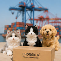 Importers